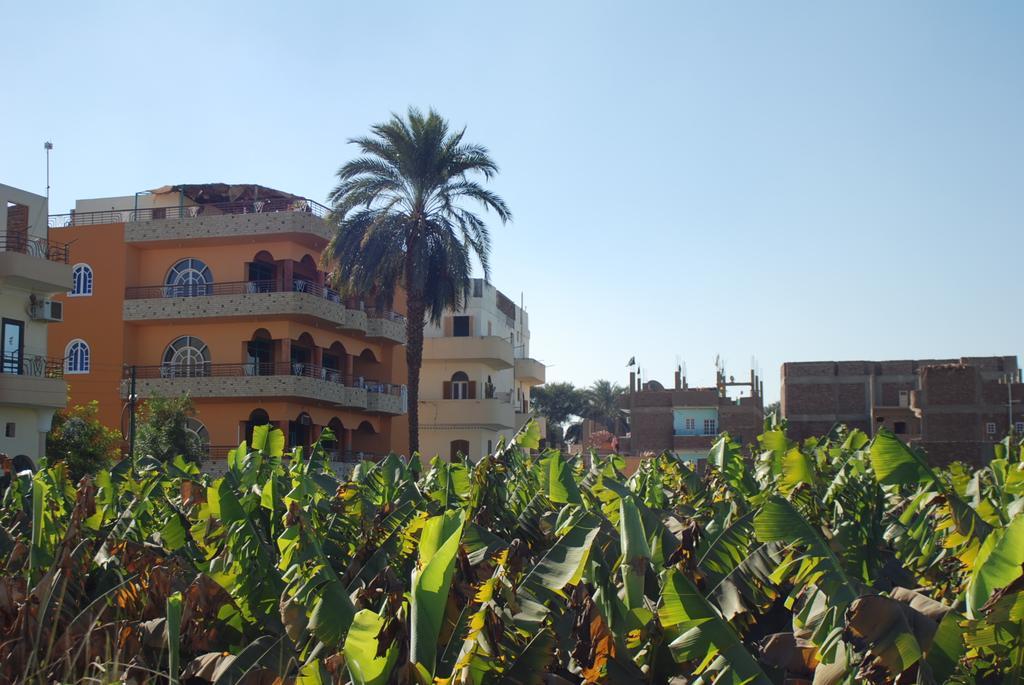 Al Gezera Apartments Λούξορ Δωμάτιο φωτογραφία